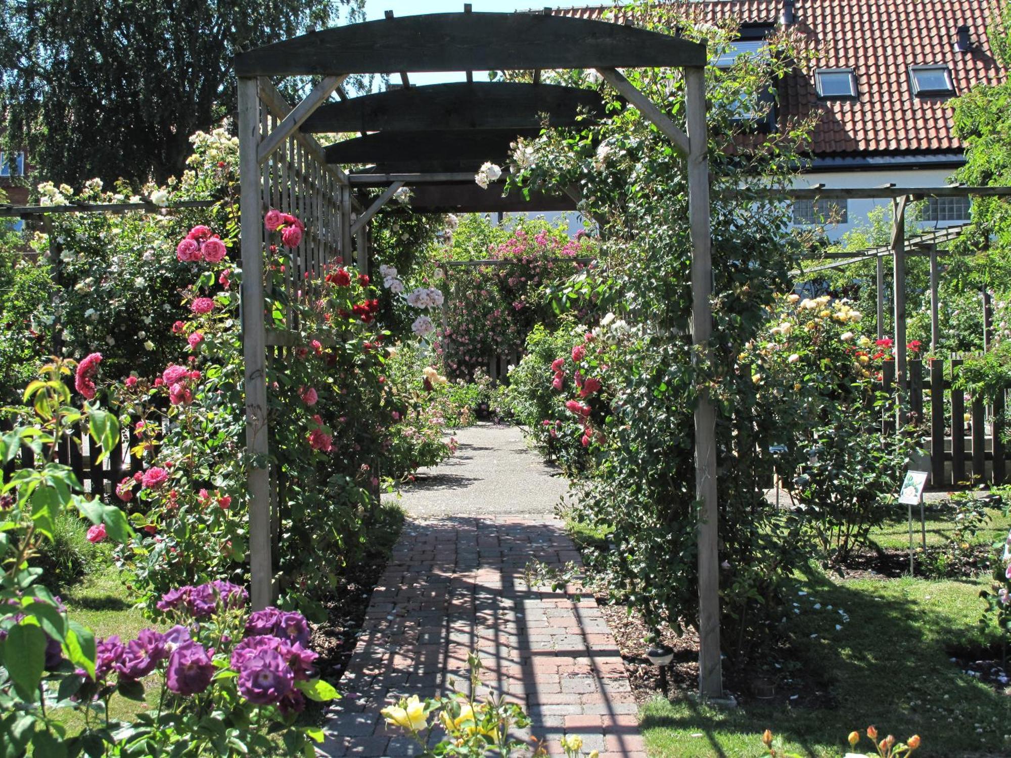 Hotell Turistgarden I Simrishamn Dış mekan fotoğraf