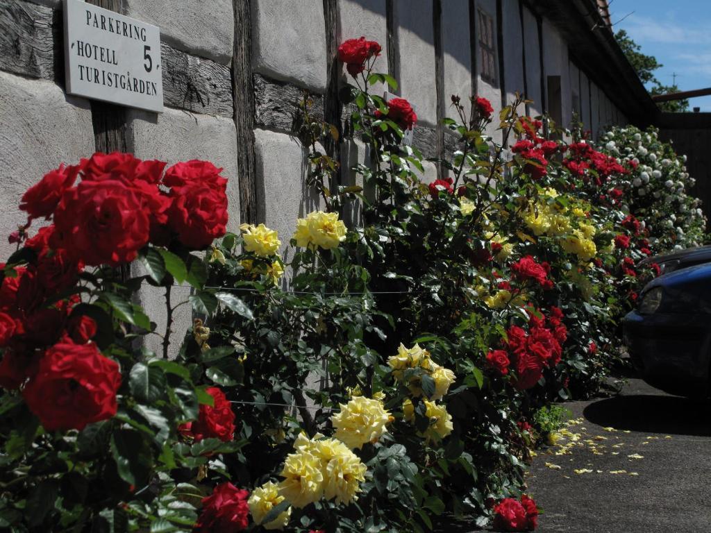 Hotell Turistgarden I Simrishamn Dış mekan fotoğraf